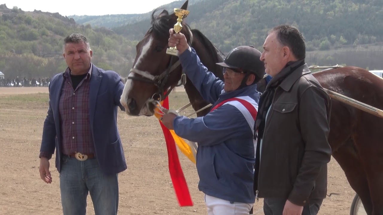Надпрепускане с двуколки, Войнягово - 6.04.2019 Harness Racing, Voyniagovo vilage, Bulgaria