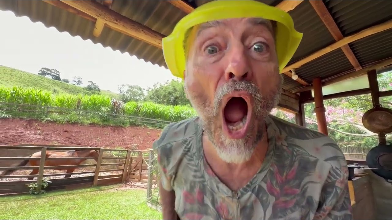 CHICO ABELHA E SUAS MACAQUICES 