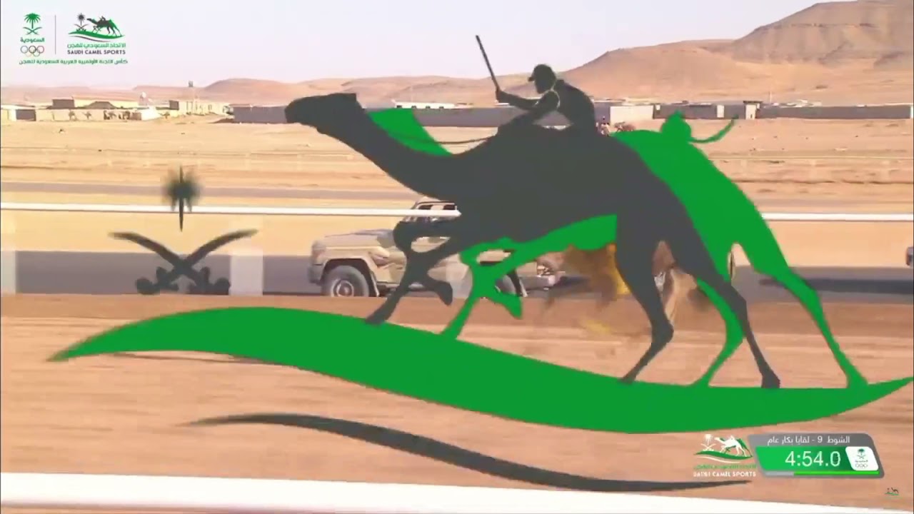 الشوط 9 لقايا بكار عام صباح يوم الثلاثاء 2-11-2021 من #كأس_الأولمبية_السعودية_للهجن