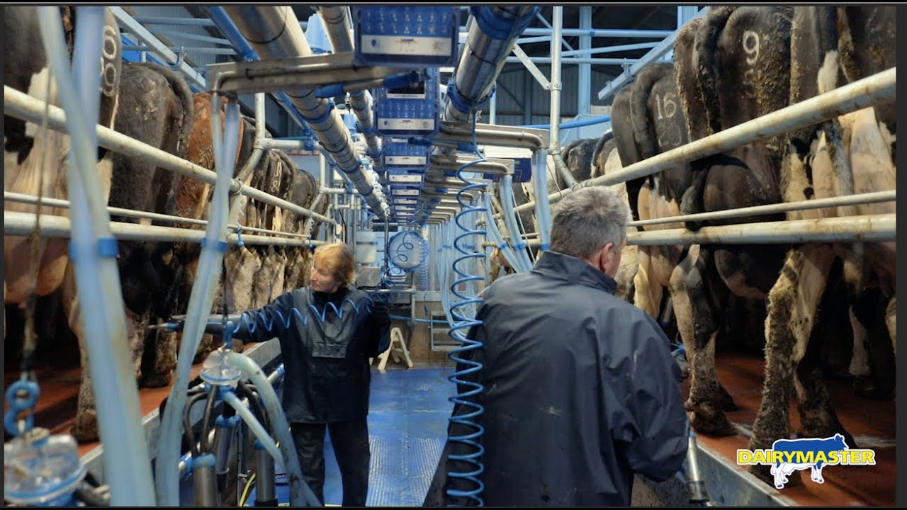 Making changes for a better lifestyle… | New Dairymaster Parlour!