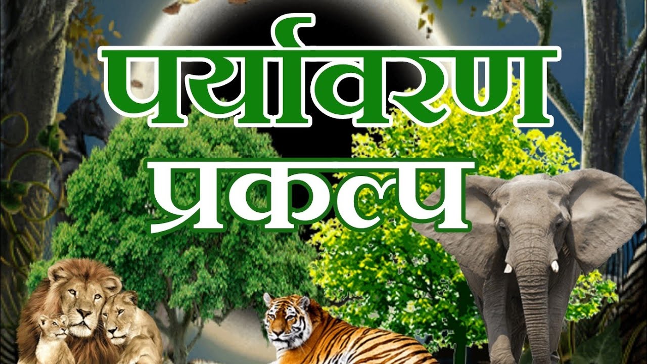 Paryavaran Project / 11 th 12 th पर्यावरण प्रकल्प / Paryavaran prakalp Vahi ,भाग-1