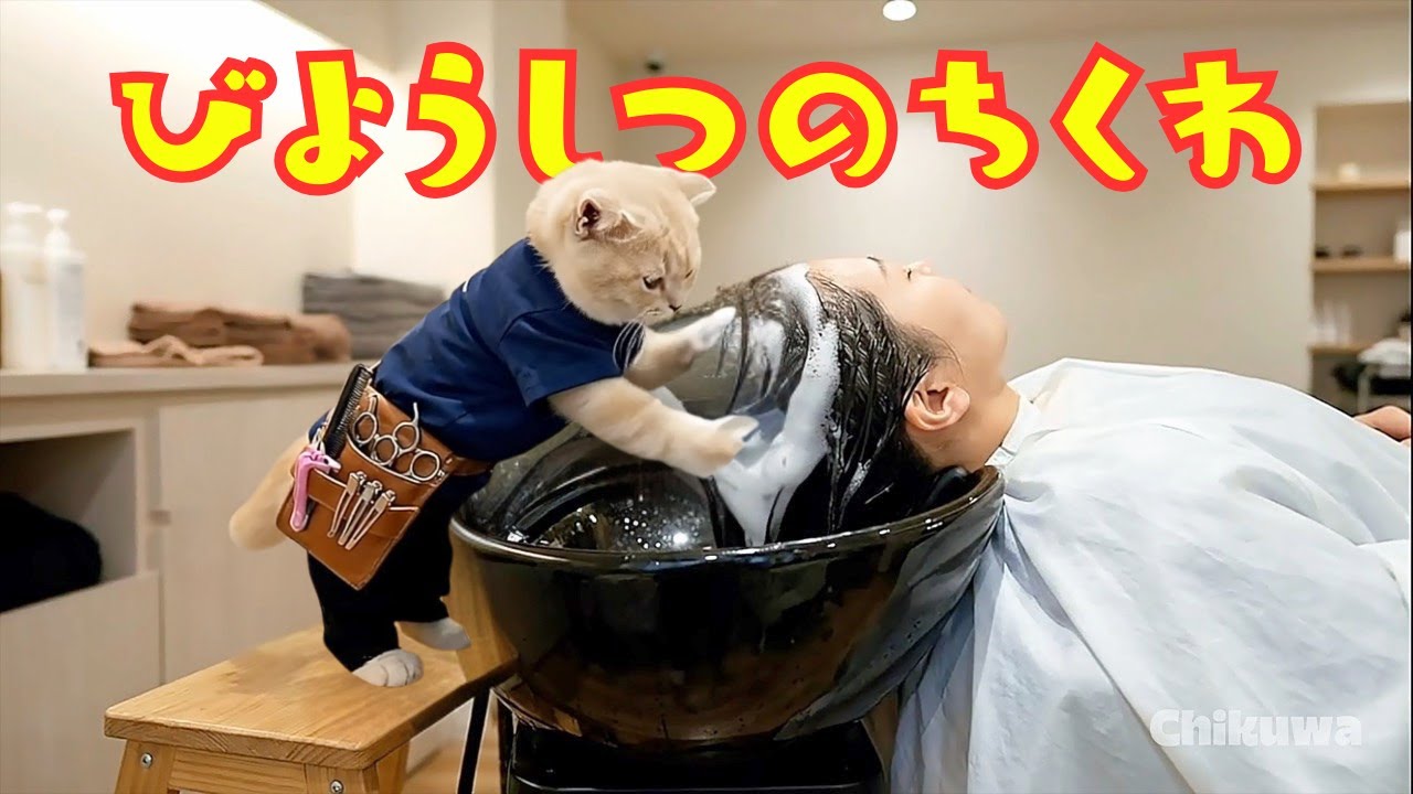 【世界一笑う猫ちくわ】美容室でバイト✂️ 一生懸命だけど笑いが止まらない一日だよー☆第2話