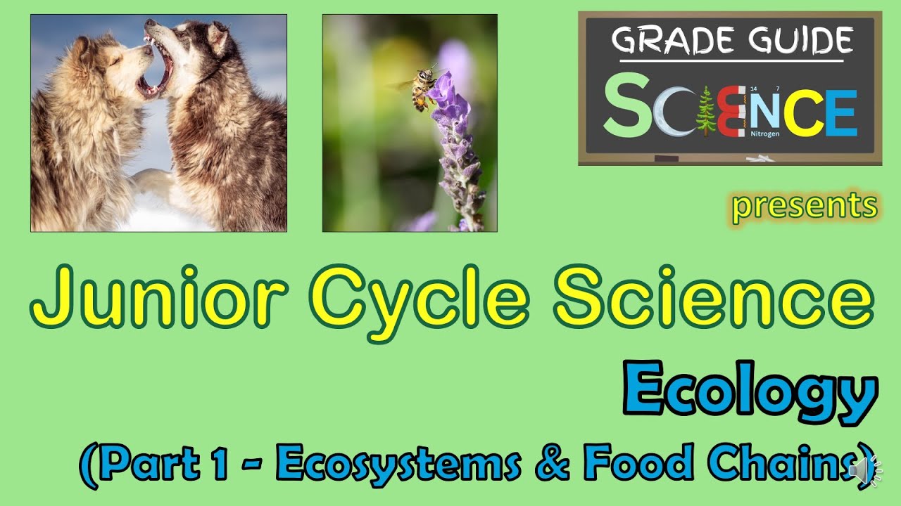 Ecology (Part 1) - Ecosystems & Food Chains - Junior Cycle Science - Revision Video