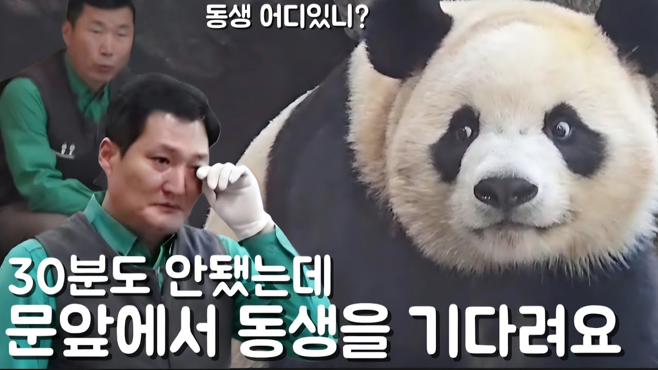 세컨하우스 3월16일 30분도 안됐는데 문앞에서 하염없이 동생을 기다리고 있어요 