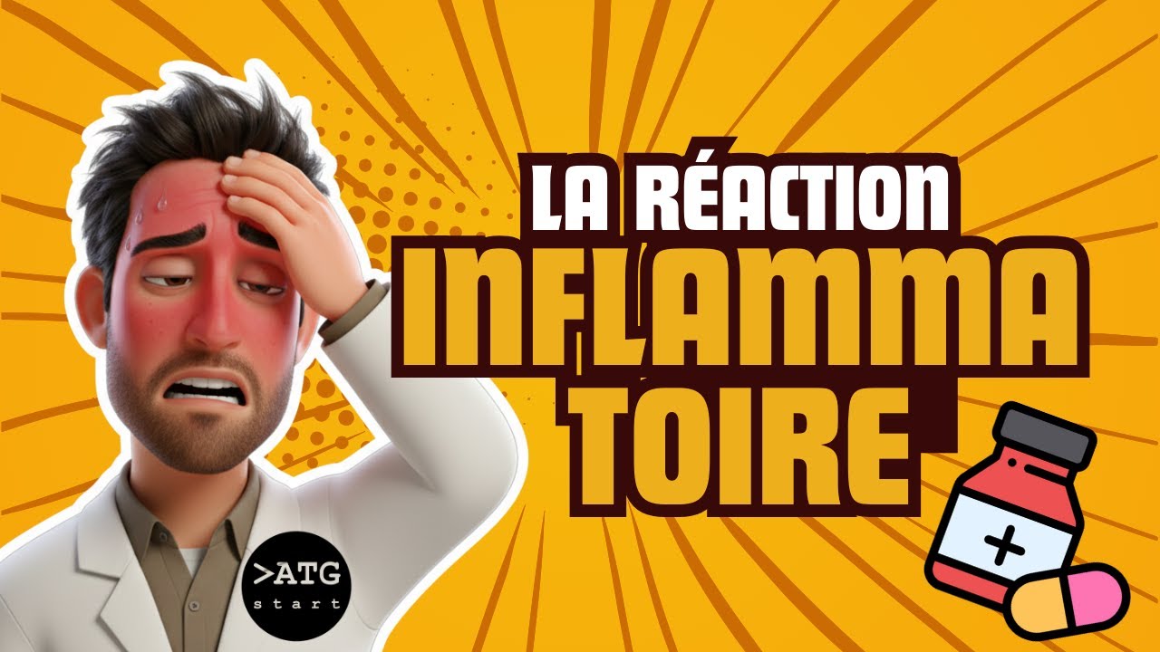 La r&eacute;action inflammatoire 🔥