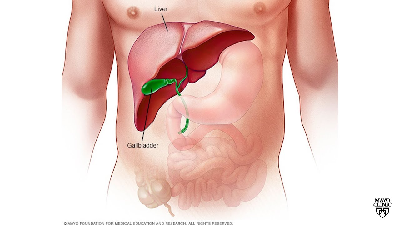 Mayo Clinic Minute: Treating liver cancer