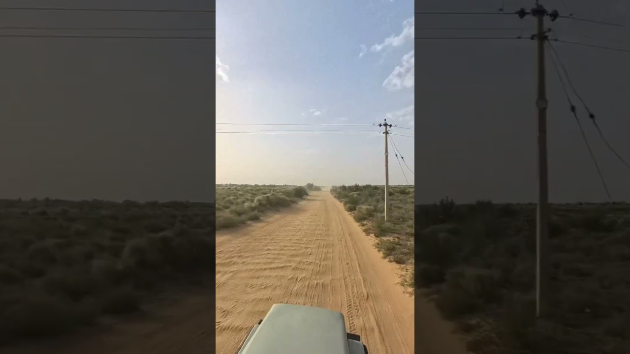 Desert Safari at Sam Sand Dunes 🏜️ | Jaisalmer Adventure 