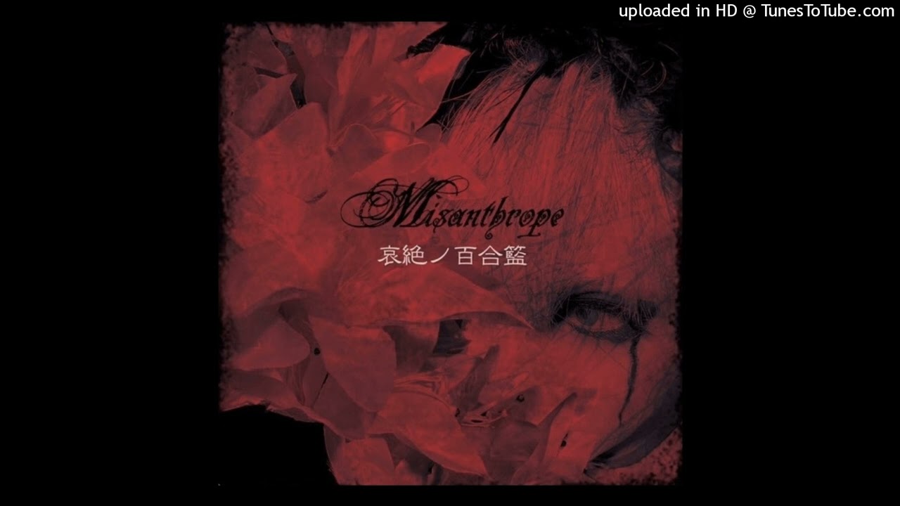 Misanthrope - sin after sin