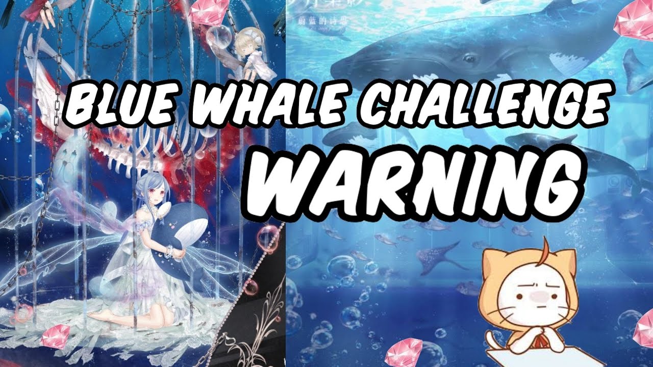 Love Nikki - BLUE WHALE CHALLENGE PSA [VERY IMPORTANT MESSAGE]