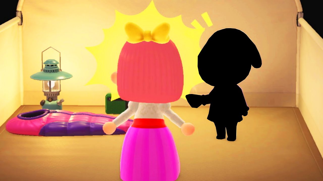 UN VISITEUR DANS MON CAMPING et MA ROUTINE ANIMAL CROSSING NEW HORIZONS LET'S PLAY FR