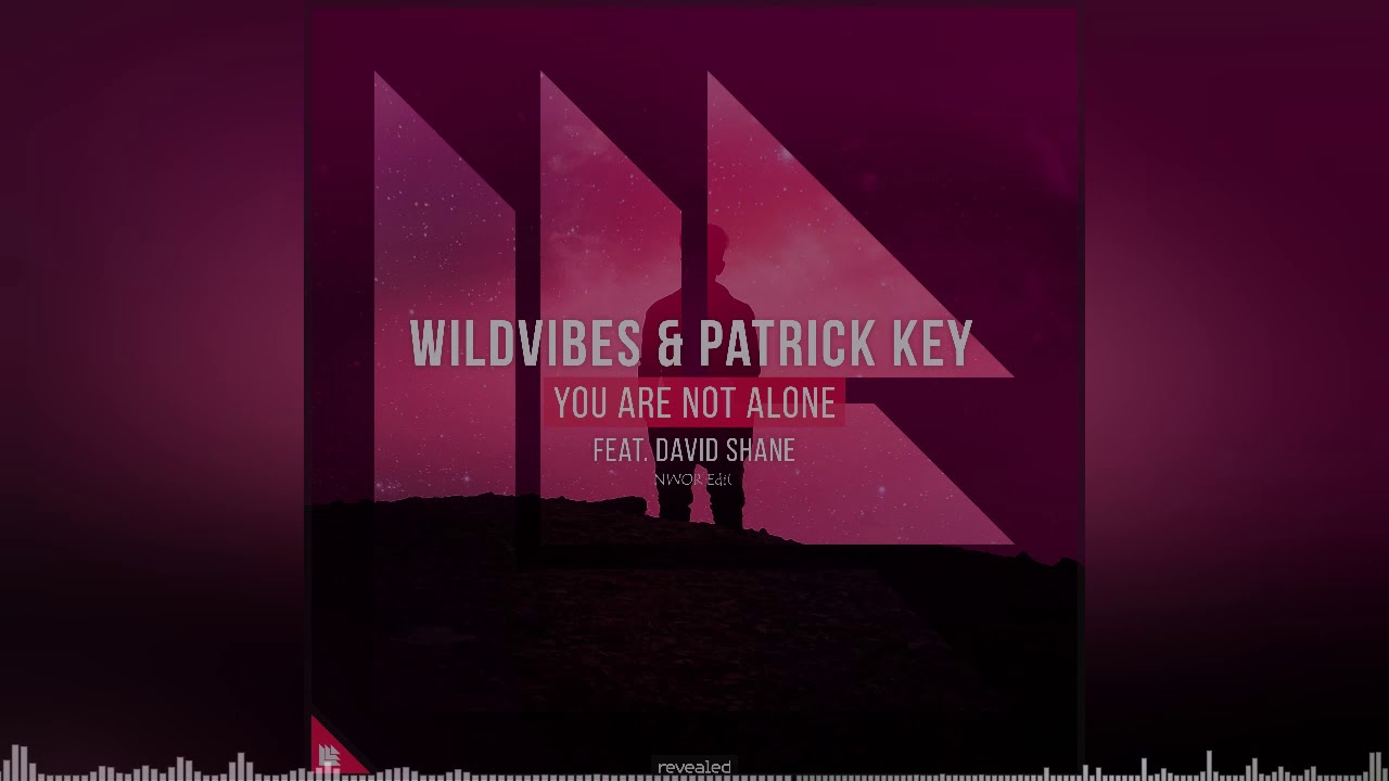 Wildvibes & Patrick Key - You Are Not Alone (feat. David Shane) (NWOR Edit) [Progressive House]