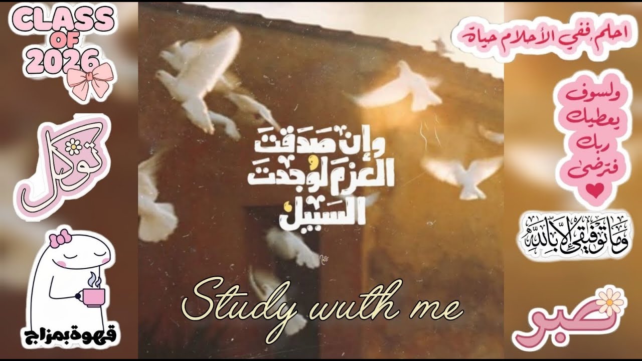 ذاكر معي⏰ |طالبة ثانوية عامة👩🏻‍🎓| هنذاكر مع بعض اطول وقت ممكن💪🏻🤍