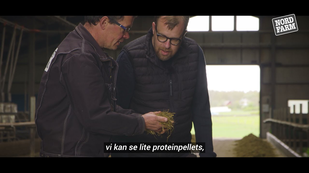 Rätt fodermix med Hans Samuelsson, Kalset Mjölk i Skeppshult.