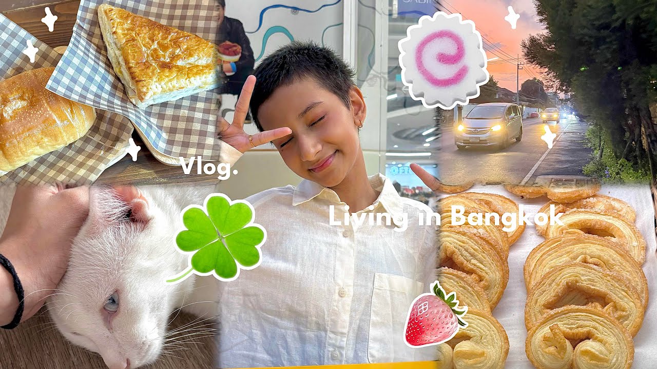 My daily life | Living bangkok vlog | CATS CATS CATS, New airbnb & more 🍥