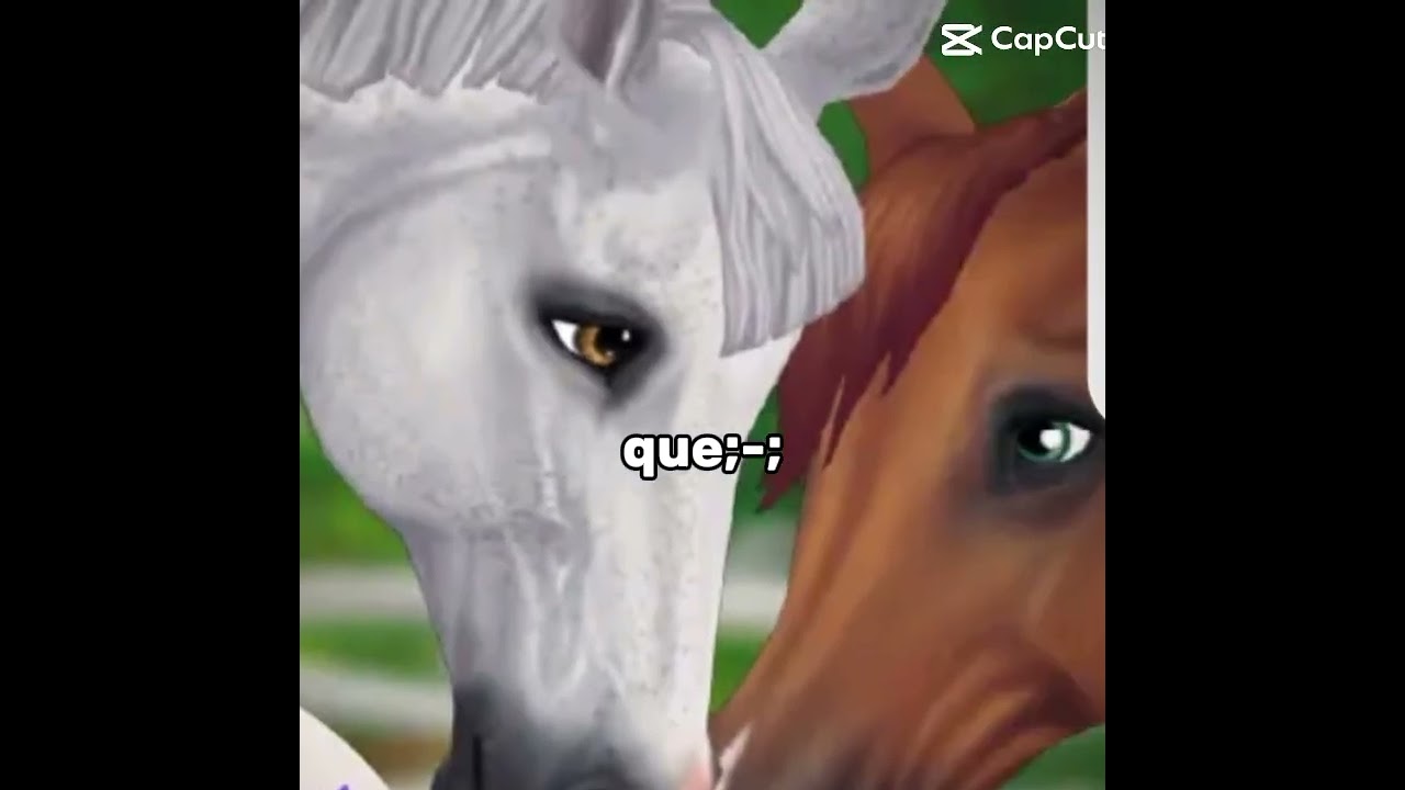 Edit sso ( star stable online)