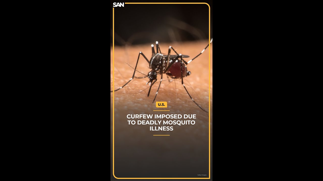 #Massachusetts town imposes #curfew due to #deadly #mosquito-borne illness