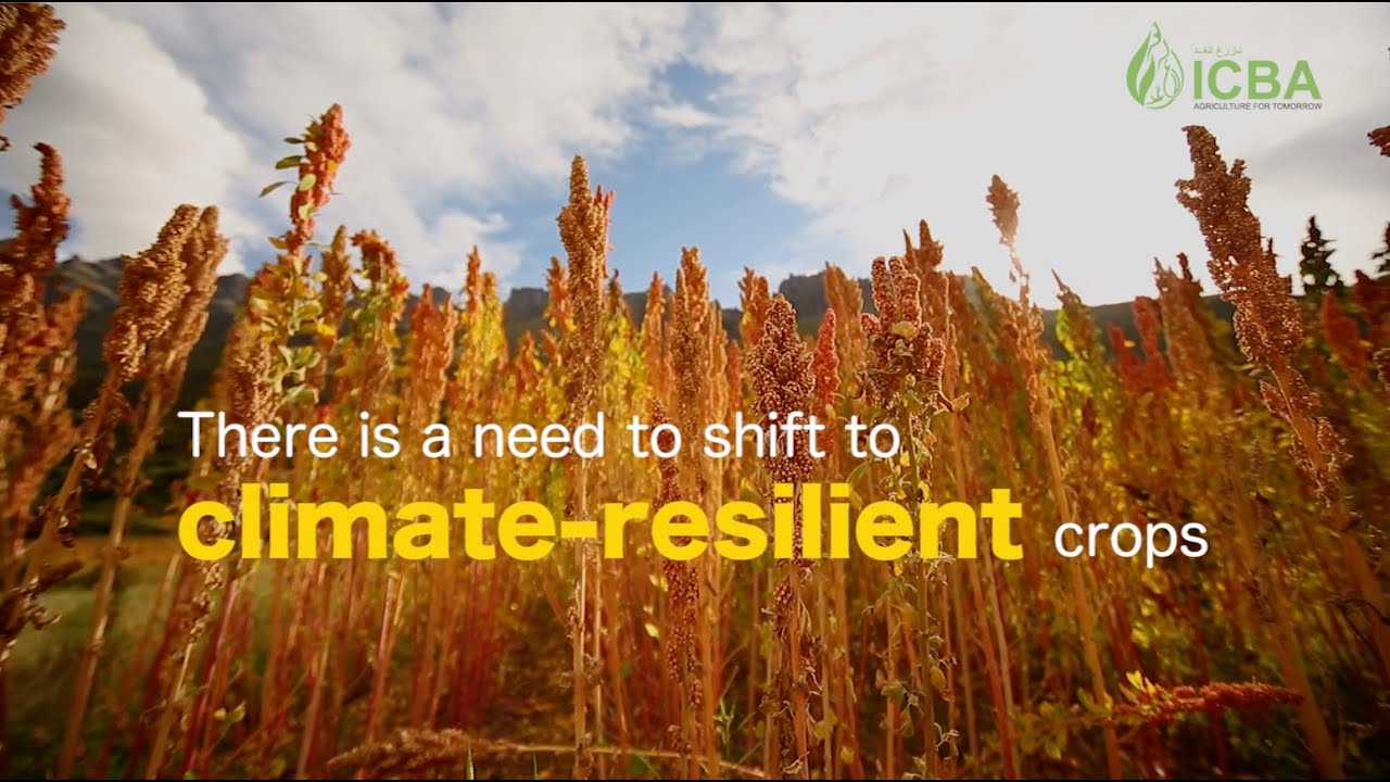 Climate-resilient crops