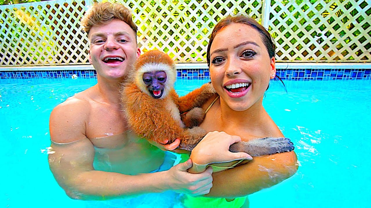 TEACHING A BABY MONKEY TO SWIM
