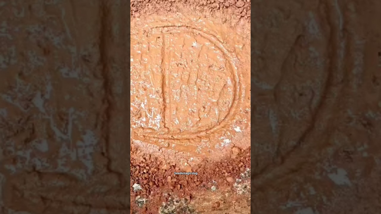 D letter gren seedsmagic🌱 