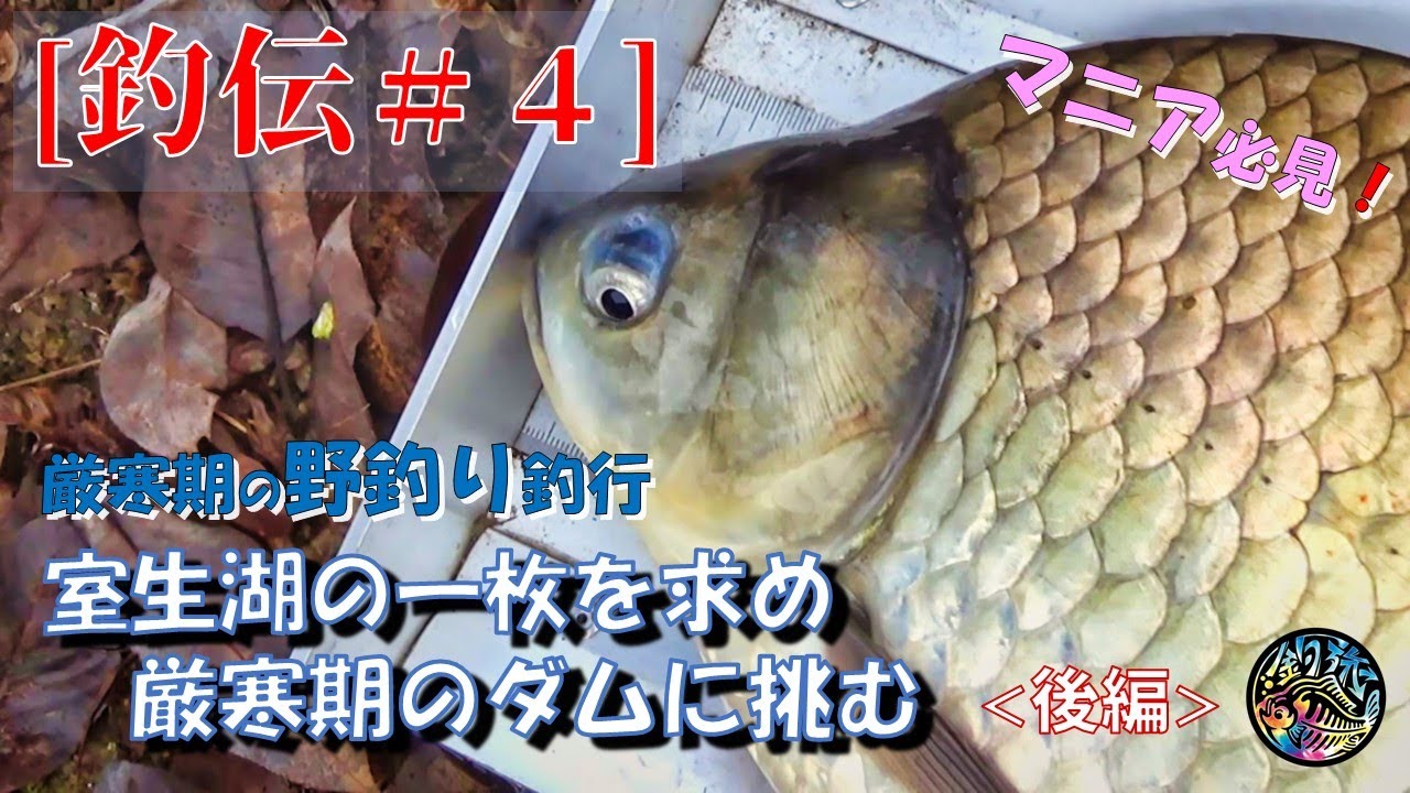 【釣伝#4】厳寒期の野釣りで大型を狙う。室生ダムで価値ある一枚を求め。（後編）