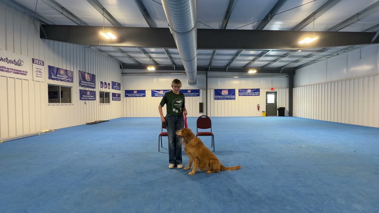 Teaching Recall