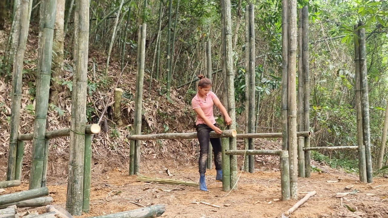 The process of designing and building the girl's bamboo house frame | Lý Tiểu An