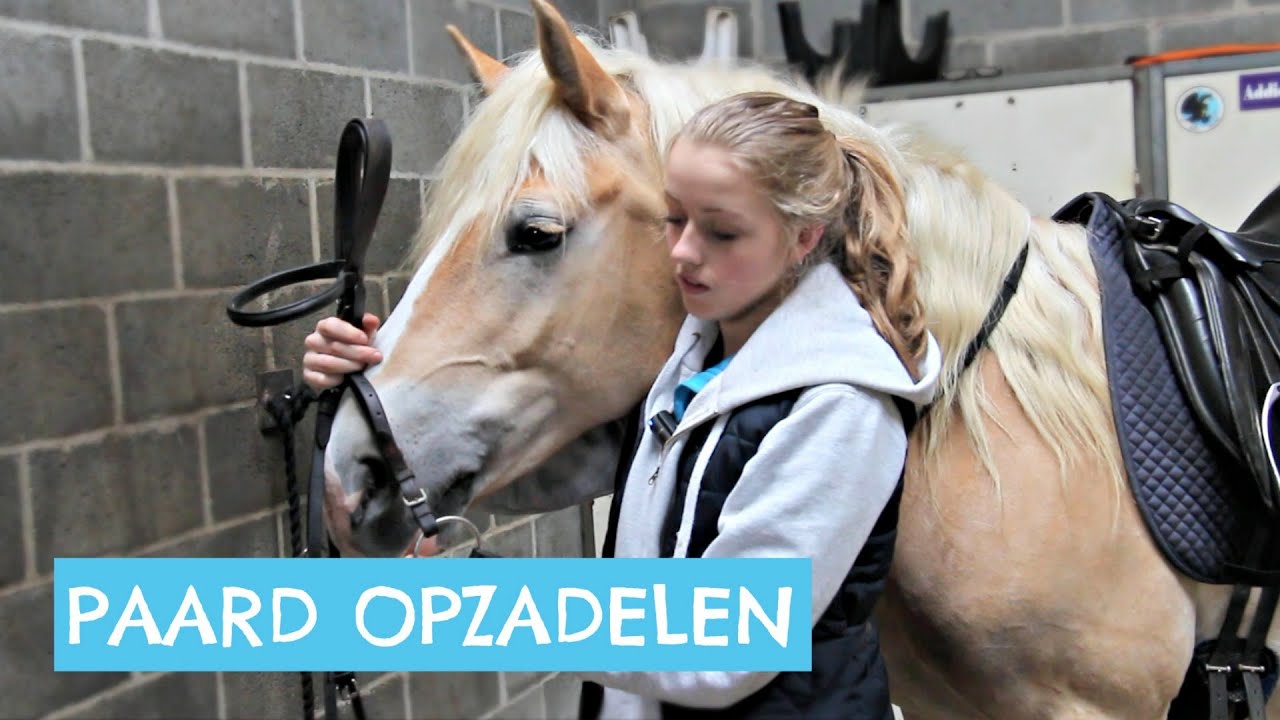 Hoe zadel je een paard op?