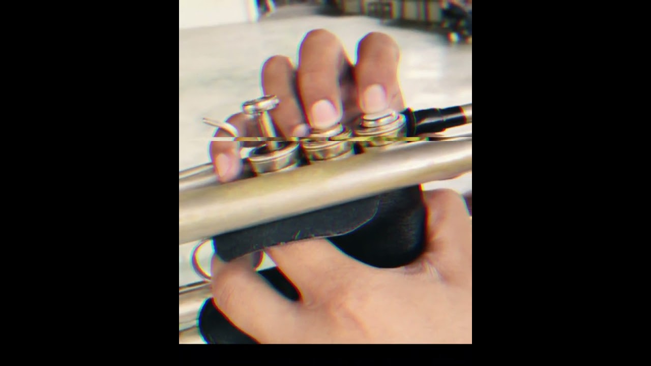 Leo Dan   Comó Te Extraño Mi Amor    Versión trompeta ‐ Hecho con Clipchamp