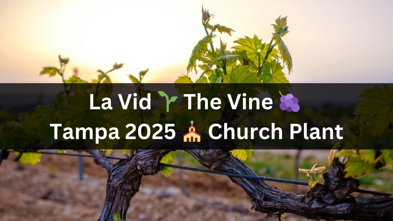 La Vid 🌱 The Vine 🍇 Tampa 2025 ⛪︎ Church Plant
