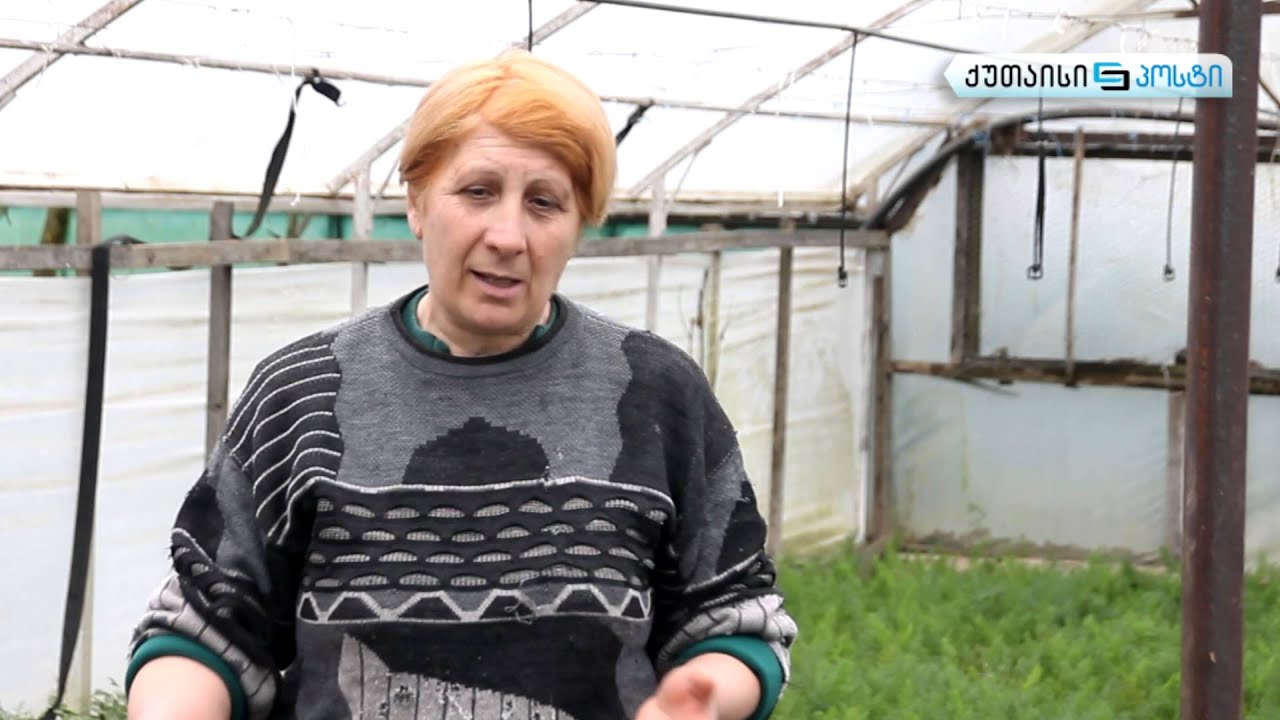 იმერული მწვანილის ევროპული პერსპექტივა