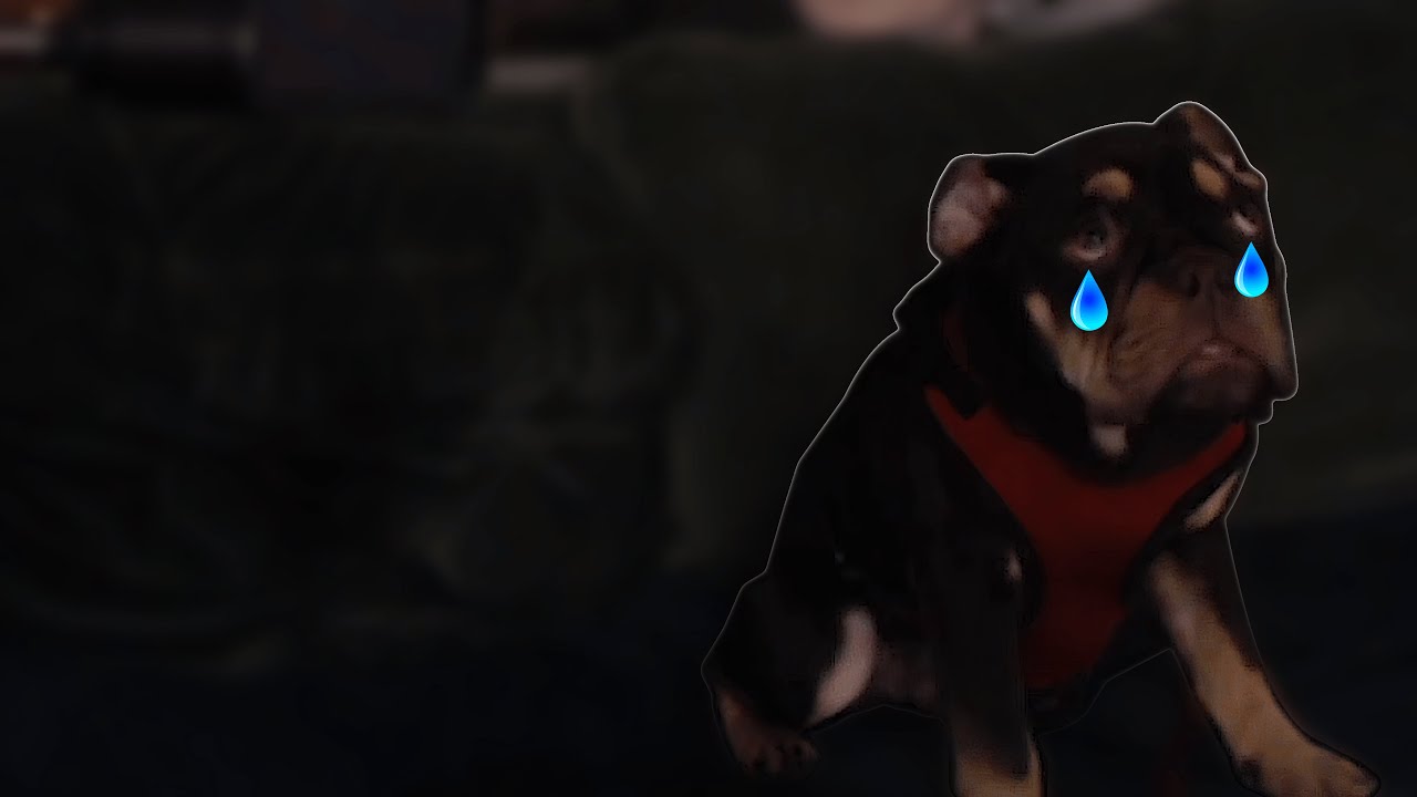 (Pat Stares At Twitch Highlights) Pat Makes Zangief Sad