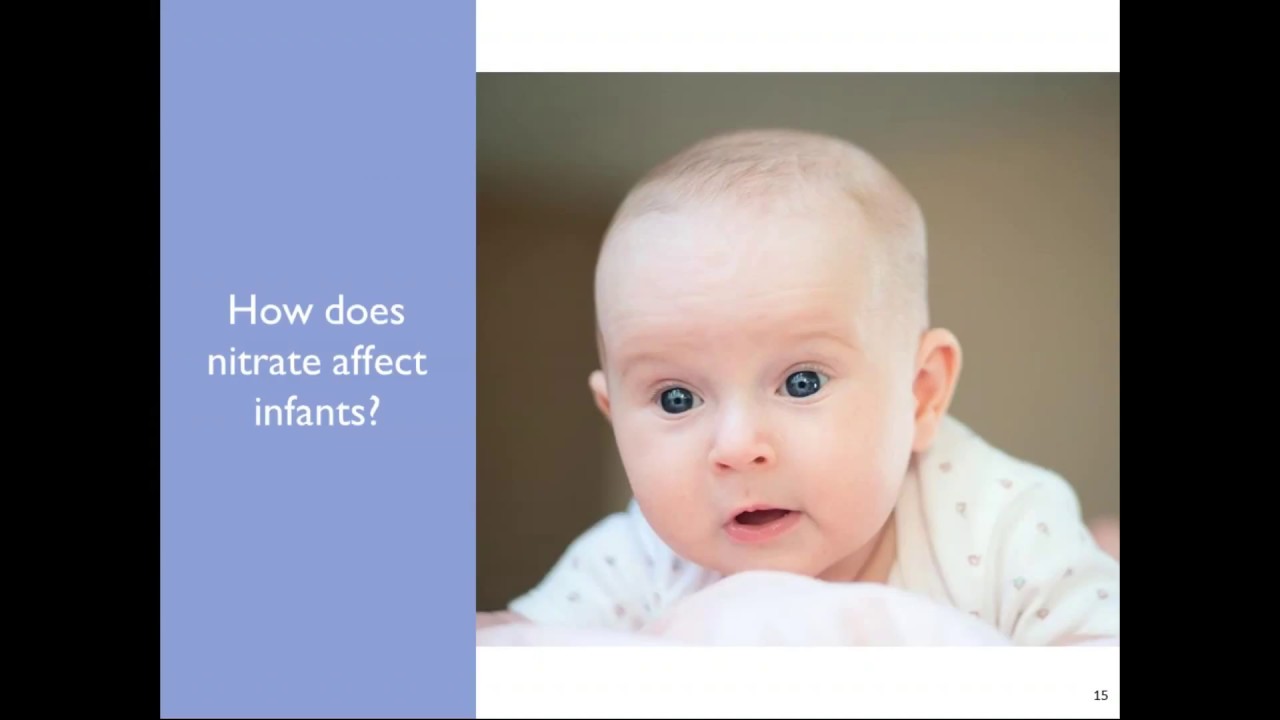 Human Health Effects of Nitrate in Drinking Water,  Sarah Yang, Wisconsin Division of Public Health