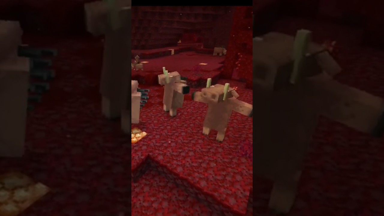 Secret party of hoglin in Minecraft 😵....#shorts
