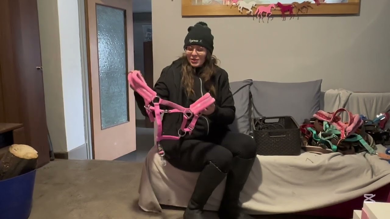 MOJA KOLEKCJA KANTARÓW 😏