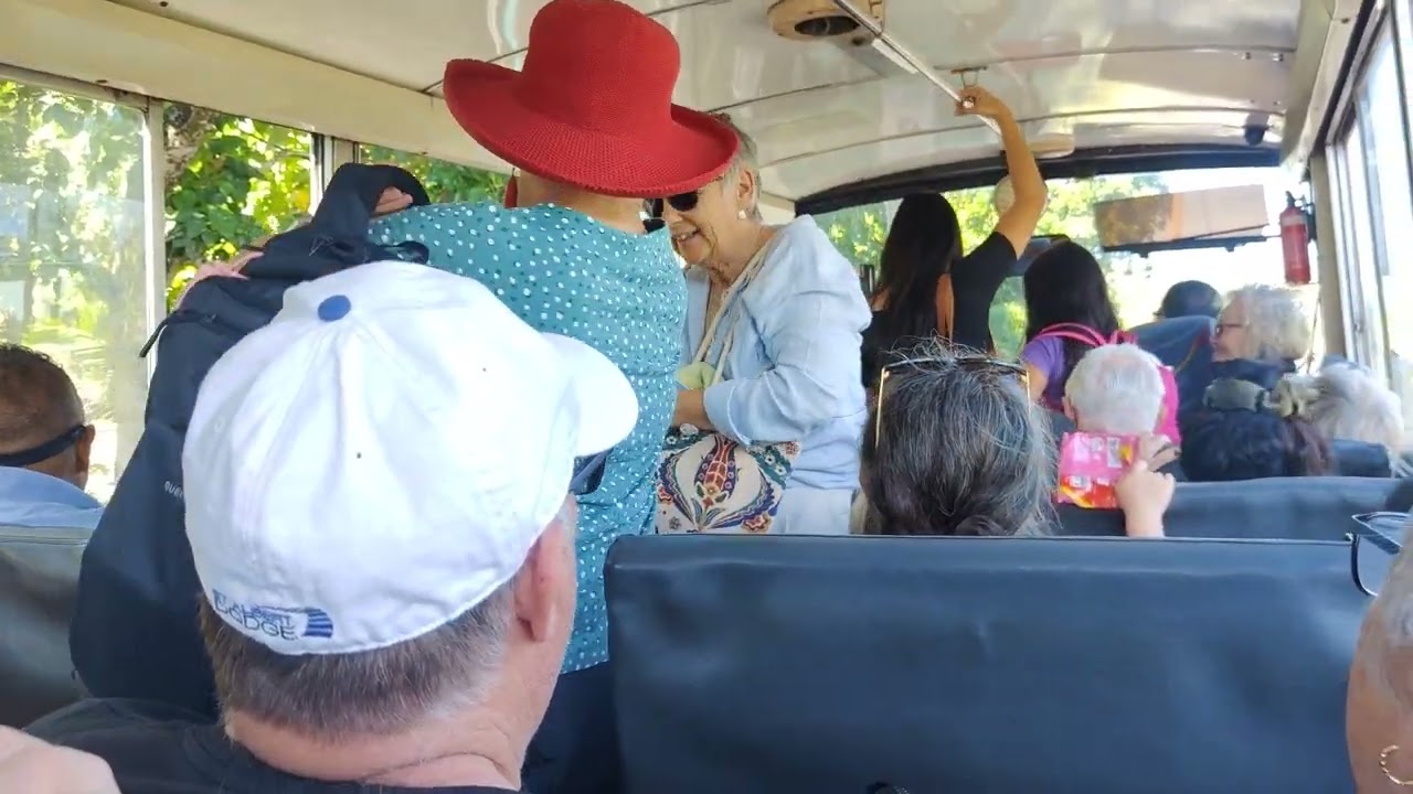 Rarotonga: Clockwise Bus from Avarua City Centre to Muri Beach