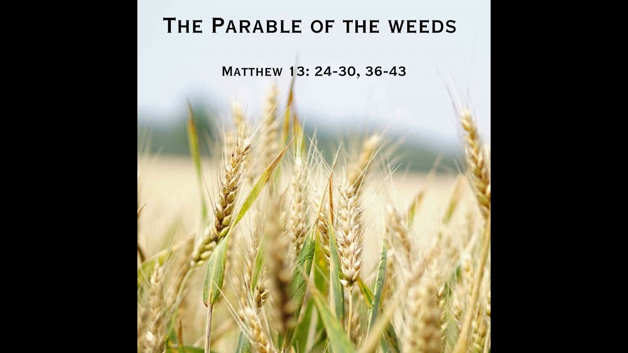 The Parable of the Weeds - Part A