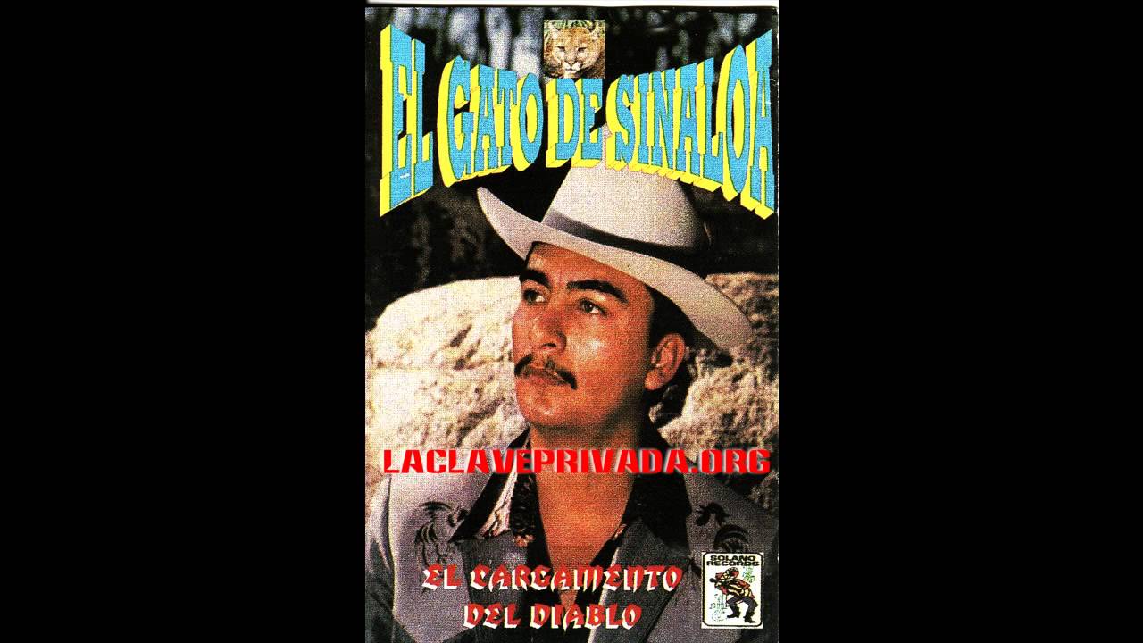 El Gato De Sinaloa   Felix Gallardo