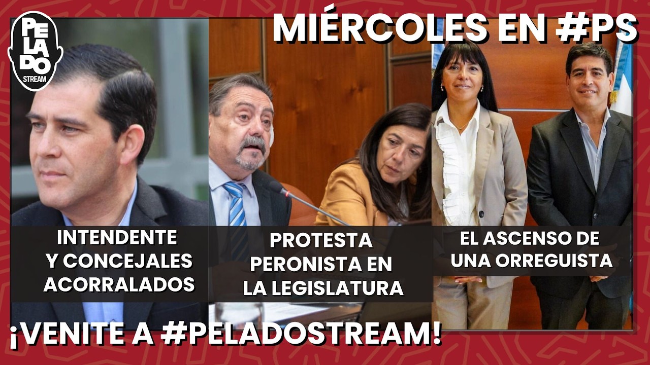 🔴 PeladoStream EN VIVO - 25/02/2026