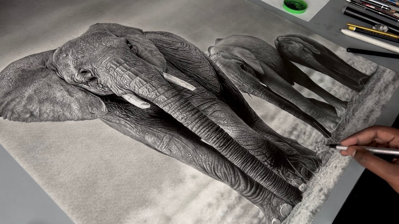 Drawing Hyperrealistic Elephants for 300 hours + on A1