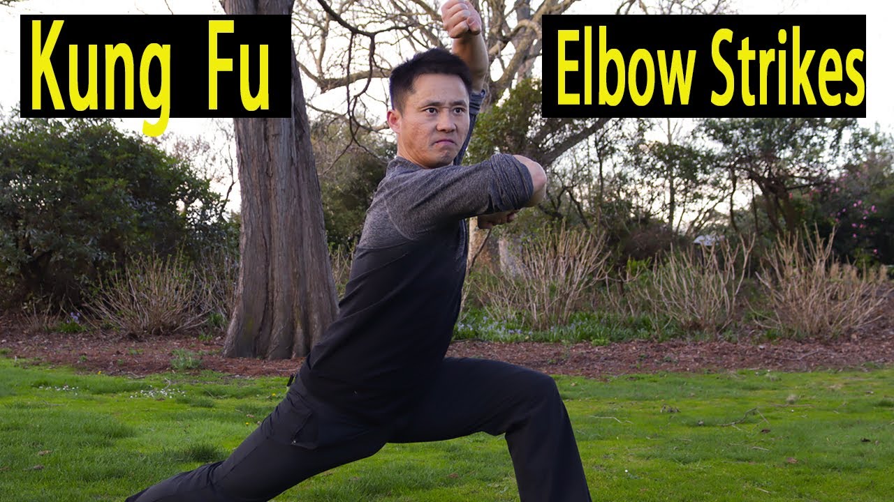 Shaolin Kung Fu Elbow Strikes Training - Da Hong Fist 大洪拳