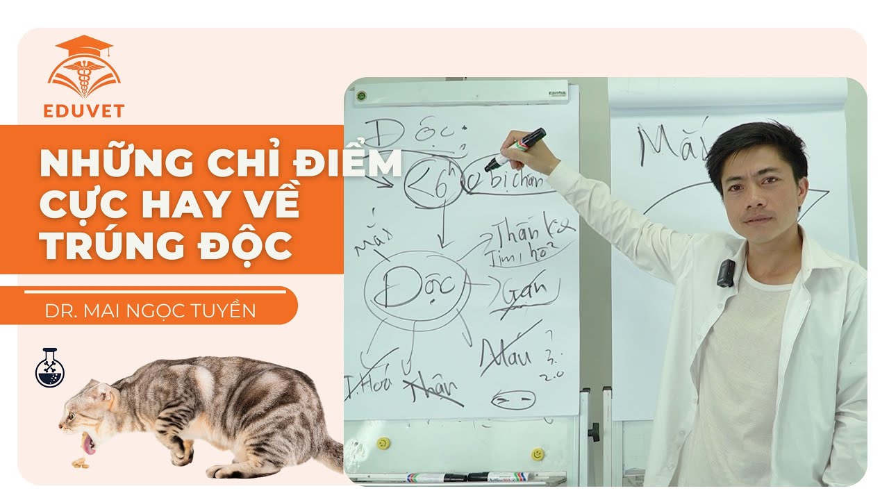 Những chỉ điểm cực hay về trúng độc trên chó mèo|DR. Mai Ngọc Tuyền | useful tips on poisoning