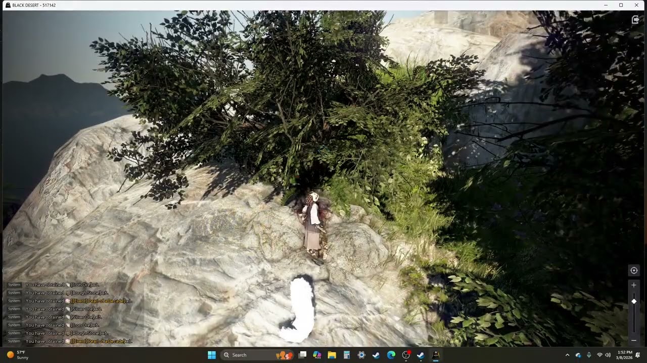 Black Desert Online : Silver Node