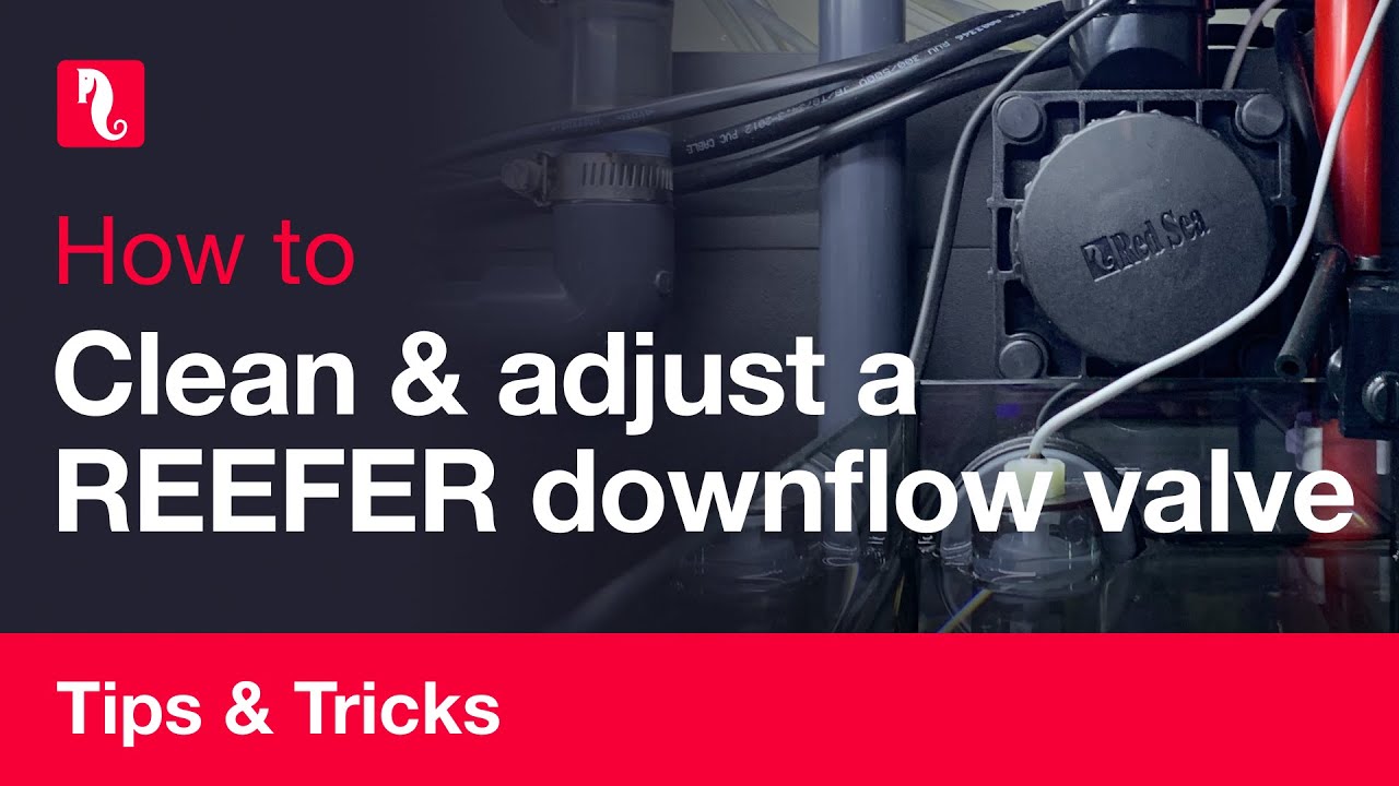 How to clean and adjust your REEFER downflow valve