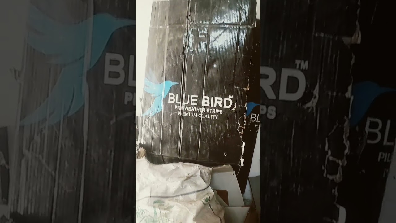 #comedy #funny #explore #memes #surajactor #acting #motivation #crimeworldnewepisode #motivationalqu