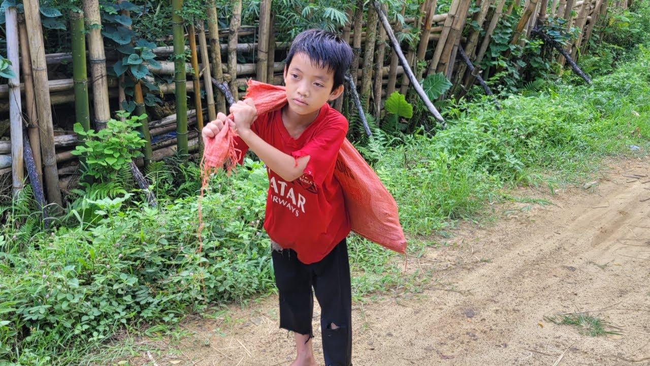 FULL VIDEO: 10 days of searching for food, a place to sleep through the day of the wandering boy.