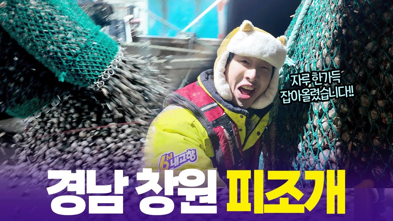 배 한가득 채워온 피조개를 다 퍼담아야 조업 끝?😱 윤쭈꾸 퇴근 불가 ㅋㅋㅋ [6시 내고향] | KBS 260114 방송