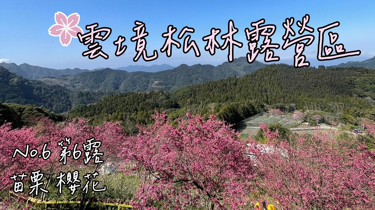 【露營】雲境松林露營區ㅣ露營區ㅣ第6露ㅣE區ㅣ高海拔ㅣ櫻花ㅣ迪卡農客廳ㅣ內掛帳