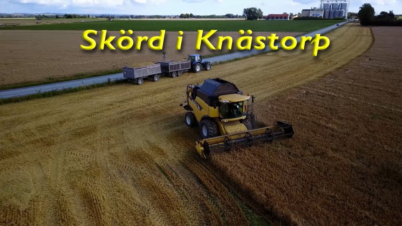 Sk&ouml;rden i Sk&aring;ne, h&auml;r i Kn&auml;storp