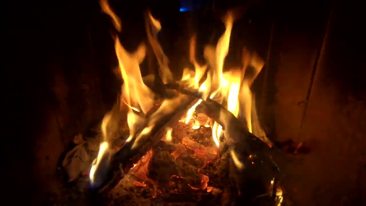 Piąta roku pora & cztery noce Kondora.