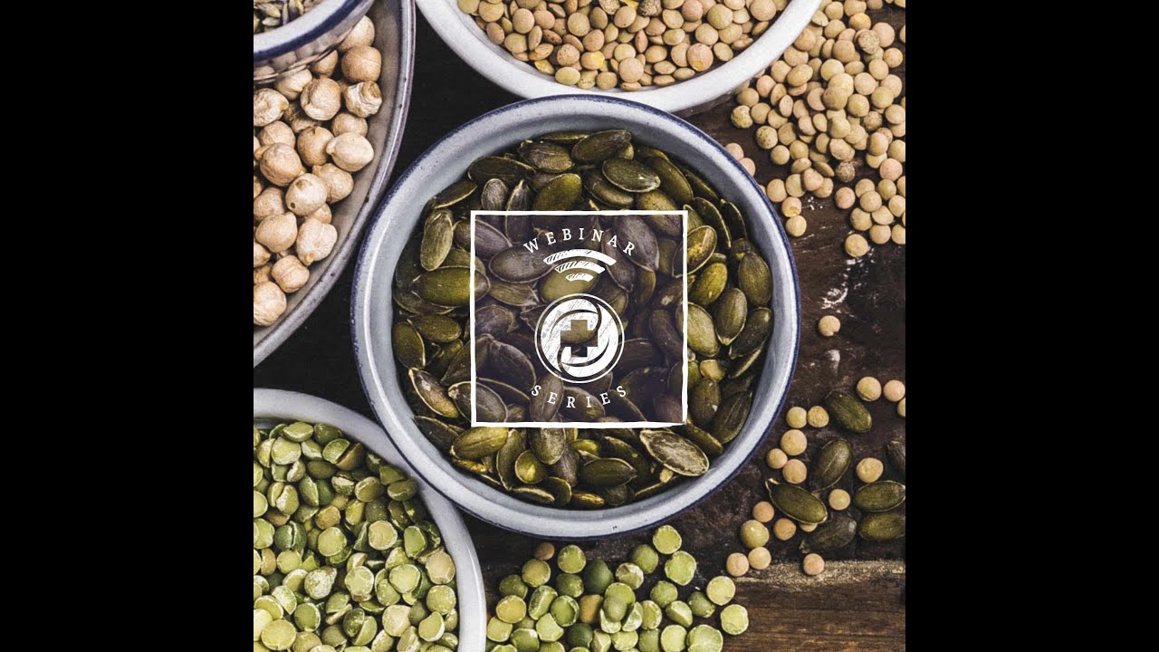 A 2022 Assessment of Protein Requirements for Optimal Health